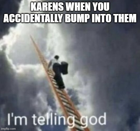 This is true it happened today | KARENS WHEN YOU ACCIDENTALLY BUMP INTO THEM | image tagged in im telling god,philosoraptor | made w/ Imgflip meme maker