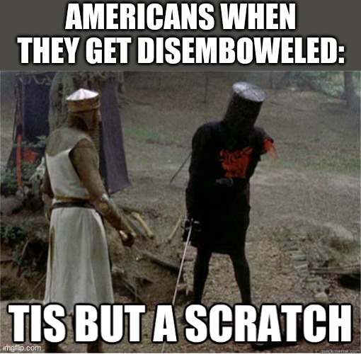 country slander #5 | AMERICANS WHEN THEY GET DISEMBOWELED: | image tagged in tis but a scratch | made w/ Imgflip meme maker