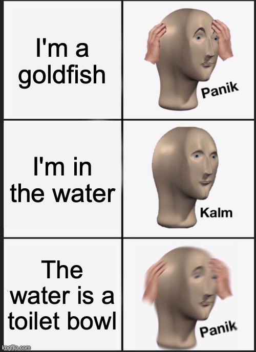 Panik Kalm Panik Meme | I'm a goldfish; I'm in the water; The water is a toilet bowl | image tagged in memes,panik kalm panik | made w/ Imgflip meme maker