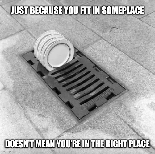 Just because you fit in someplace doesn’t mean you’re in the right place | JUST BECAUSE YOU FIT IN SOMEPLACE; DOESN’T MEAN YOU’RE IN THE RIGHT PLACE | image tagged in conformity | made w/ Imgflip meme maker