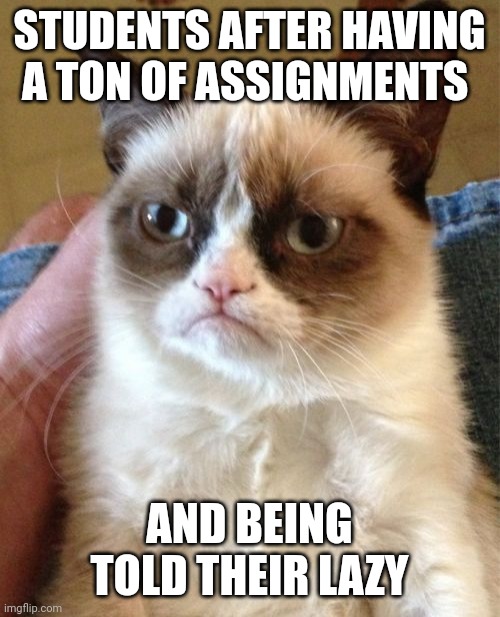 True | STUDENTS AFTER HAVING A TON OF ASSIGNMENTS; AND BEING TOLD THEIR LAZY | image tagged in memes,grumpy cat | made w/ Imgflip meme maker