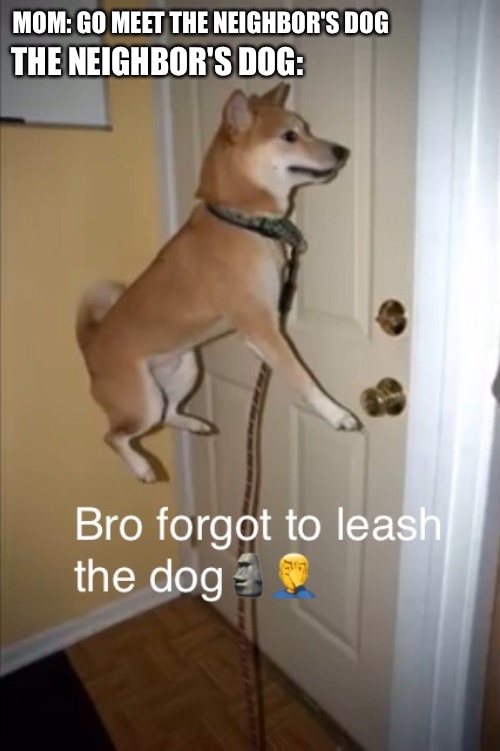 i will move out of my neighbourhood if this meme reach 20 views (REAL) | MOM: GO MEET THE NEIGHBOR'S DOG; THE NEIGHBOR'S DOG: | image tagged in dog glitching | made w/ Imgflip meme maker