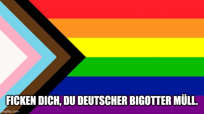 Gay Flag!!! | FICKEN DICH, DU DEUTSCHER BIGOTTER MÜLL. | image tagged in gay flag | made w/ Imgflip meme maker
