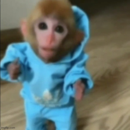 pejames | made w/ Imgflip meme maker