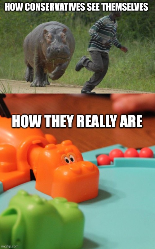 HOW CONSERVATIVES SEE THEMSELVES HOW THEY REALLY ARE | image tagged in hippo chase,hungry hungry hippo | made w/ Imgflip meme maker