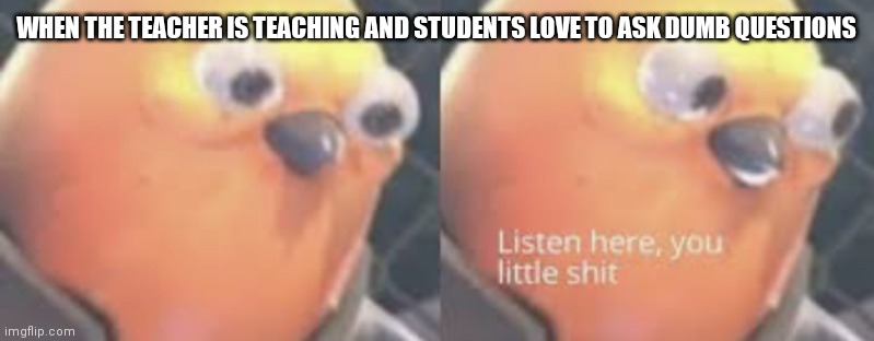 Students just love pestering teachers | WHEN THE TEACHER IS TEACHING AND STUDENTS LOVE TO ASK DUMB QUESTIONS | image tagged in listen here you little shit bird,funny memes,pestering,pestering teachers | made w/ Imgflip meme maker