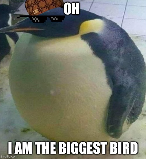 I'm Da Biggest Bird | OH; I AM THE BIGGEST BIRD | image tagged in i'm da biggest bird | made w/ Imgflip meme maker