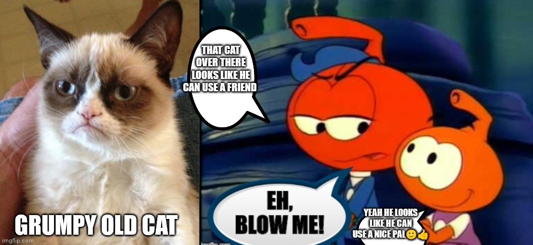 Junior, Willie and grumpy cat | THAT CAT OVER THERE LOOKS LIKE HE CAN USE A FRIEND; GRUMPY OLD CAT; YEAH HE LOOKS LIKE HE CAN USE A NICE PAL🙂👍 | image tagged in grumpy cat,funny meme,junior wet worth,willie wet worth,snorks,cartoons | made w/ Imgflip meme maker