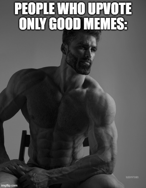 the true gigachads | PEOPLE WHO UPVOTE ONLY GOOD MEMES: | image tagged in giga chad | made w/ Imgflip meme maker