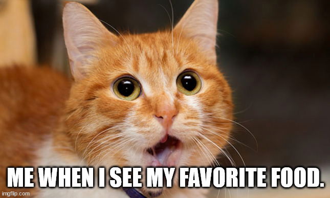 Me when I see my favorite food. | ME WHEN I SEE MY FAVORITE FOOD. | image tagged in funny | made w/ Imgflip meme maker