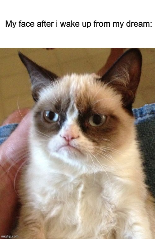 Grumpy Cat | My face after i wake up from my dream: | image tagged in memes,grumpy cat | made w/ Imgflip meme maker