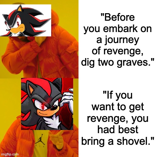 I mean, what if you have to kill more than two people? | "Before you embark on a journey of revenge, dig two graves."; "If you want to get revenge, you had best bring a shovel." | image tagged in memes,drake hotline bling,sonic the hedgehog,shadow the hedgehog | made w/ Imgflip meme maker
