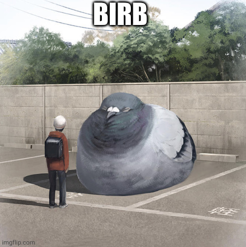 Beeg Birb | BIRB | image tagged in beeg birb | made w/ Imgflip meme maker