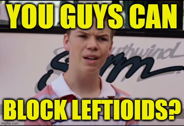 You Guys are Getting Paid | YOU GUYS CAN BLOCK LEFTIOIDS? | image tagged in you guys are getting paid | made w/ Imgflip meme maker