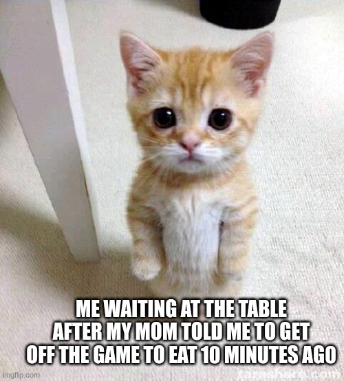 Cute Cat | ME WAITING AT THE TABLE AFTER MY MOM TOLD ME TO GET OFF THE GAME TO EAT 10 MINUTES AG0 | image tagged in memes,cute cat | made w/ Imgflip meme maker