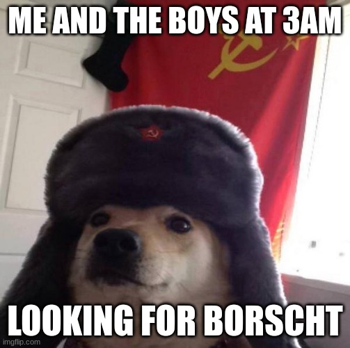 Russian Doge | ME AND THE BOYS AT 3AM; LOOKING FOR BORSCHT | image tagged in russian doge | made w/ Imgflip meme maker