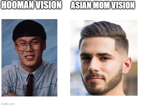 bro facts no cap | HOOMAN VISION; ASIAN MOM VISION | image tagged in blank white template | made w/ Imgflip meme maker