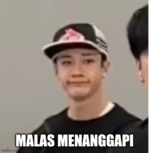 bangchan | MALAS MENANGGAPI | image tagged in memes | made w/ Imgflip meme maker