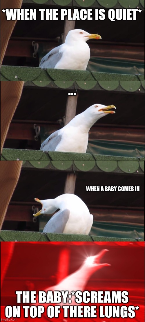 Inhaling Seagull | *WHEN THE PLACE IS QUIET*; …; WHEN A BABY COMES IN; THE BABY:*SCREAMS ON TOP OF THERE LUNGS* | image tagged in memes,inhaling seagull | made w/ Imgflip meme maker
