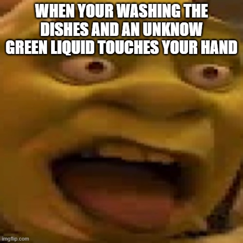 this is the worst... | WHEN YOUR WASHING THE DISHES AND AN UNKNOW GREEN LIQUID TOUCHES YOUR HAND | image tagged in grossed out,dirty dishes | made w/ Imgflip meme maker
