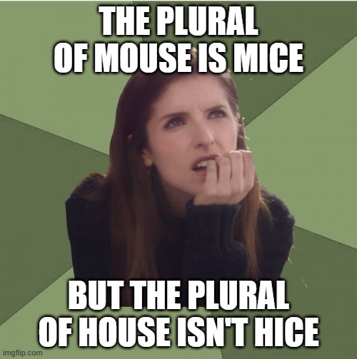 Philosophanna | THE PLURAL OF MOUSE IS MICE; BUT THE PLURAL OF HOUSE ISN'T HICE | image tagged in philosophanna | made w/ Imgflip meme maker