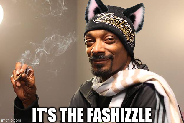 Snoop Dogg | IT'S THE FASHIZZLE | image tagged in snoop dogg | made w/ Imgflip meme maker