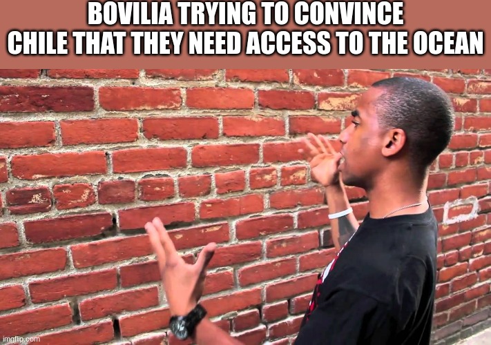 country slander #10 | BOVILIA TRYING TO CONVINCE CHILE THAT THEY NEED ACCESS TO THE OCEAN | image tagged in talking to wall | made w/ Imgflip meme maker