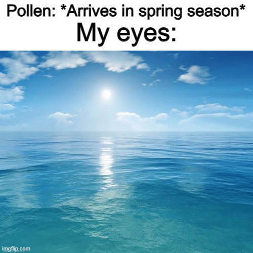I can REALLY relate to this one ;-; | Pollen: *Arrives in spring season*; My eyes: | image tagged in ocean | made w/ Imgflip meme maker