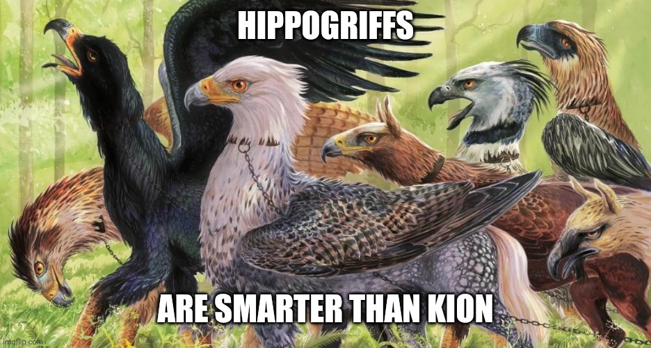 The truth | HIPPOGRIFFS; ARE SMARTER THAN KION | image tagged in hippogriffs,kion | made w/ Imgflip meme maker