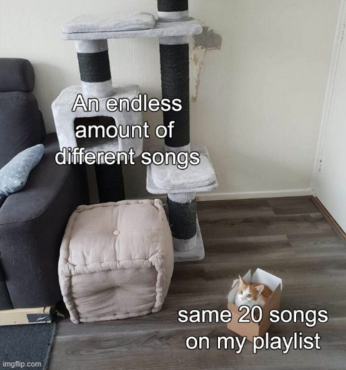 I'm very dedicated to only having my 5 most desired songs in my playlist... nothing else ^-^ | image tagged in repost | made w/ Imgflip meme maker