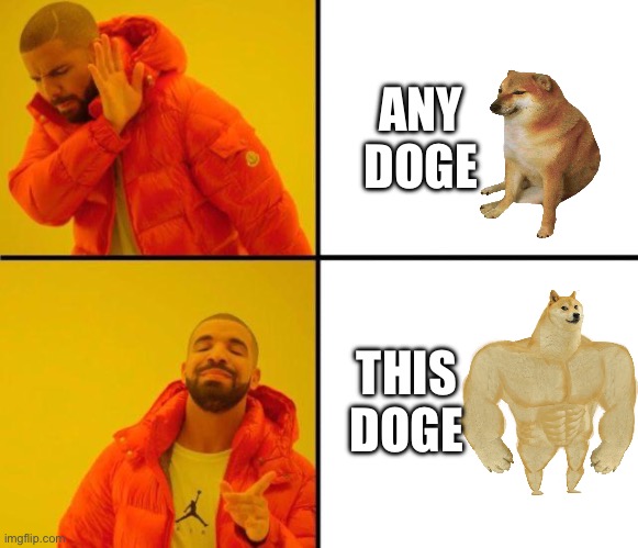 drake meme | ANY DOGE; THIS DOGE | image tagged in drake meme | made w/ Imgflip meme maker