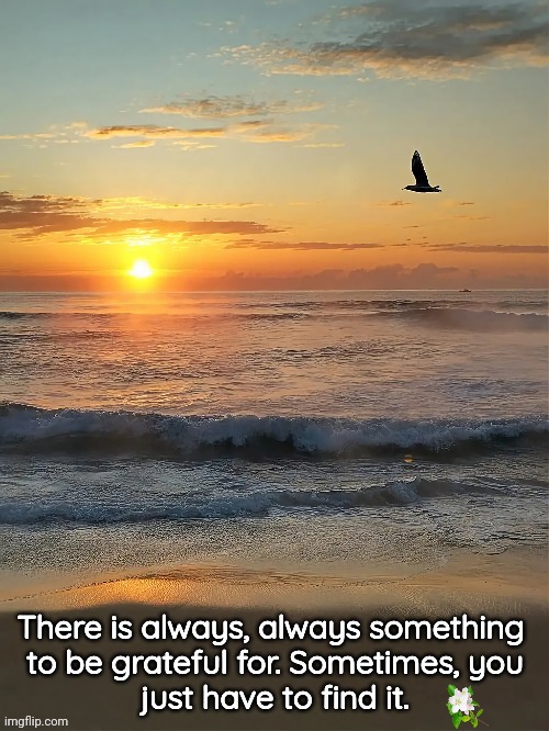 Grateful, Thankful | image tagged in depression,sunrise,beach,hope | made w/ Imgflip meme maker