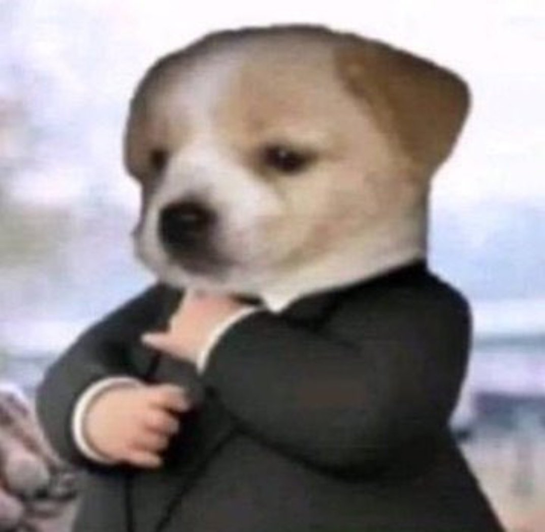 Dog with suit Blank Template Imgflip