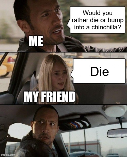 If I asked my friend this question he would answer that. LOL | Would you rather die or bump into a chinchilla? ME; Die; MY FRIEND | image tagged in memes,the rock driving | made w/ Imgflip meme maker