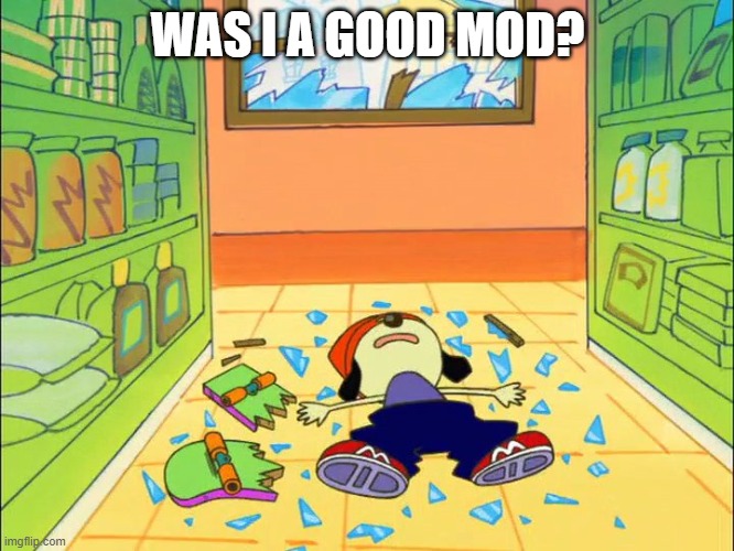 PaRappa on the floor | WAS I A GOOD MOD? | image tagged in parappa on the floor | made w/ Imgflip meme maker
