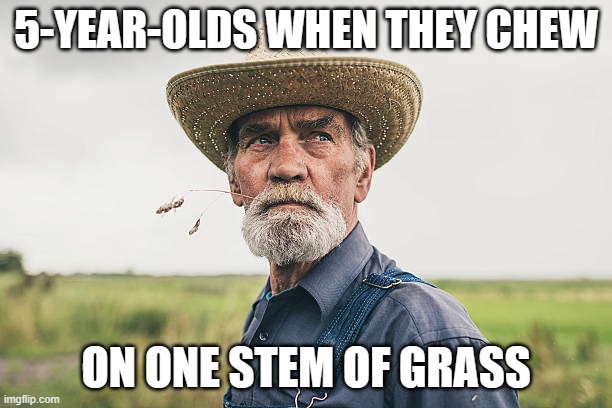 spam memes in chat pls | 5-YEAR-OLDS WHEN THEY CHEW; ON ONE STEM OF GRASS | image tagged in memes,wheat,lol,funny | made w/ Imgflip meme maker