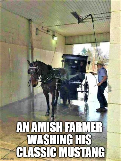carwash | AN AMISH FARMER 
WASHING HIS 
CLASSIC MUSTANG | image tagged in horse,carwash,car wash,amish | made w/ Imgflip meme maker