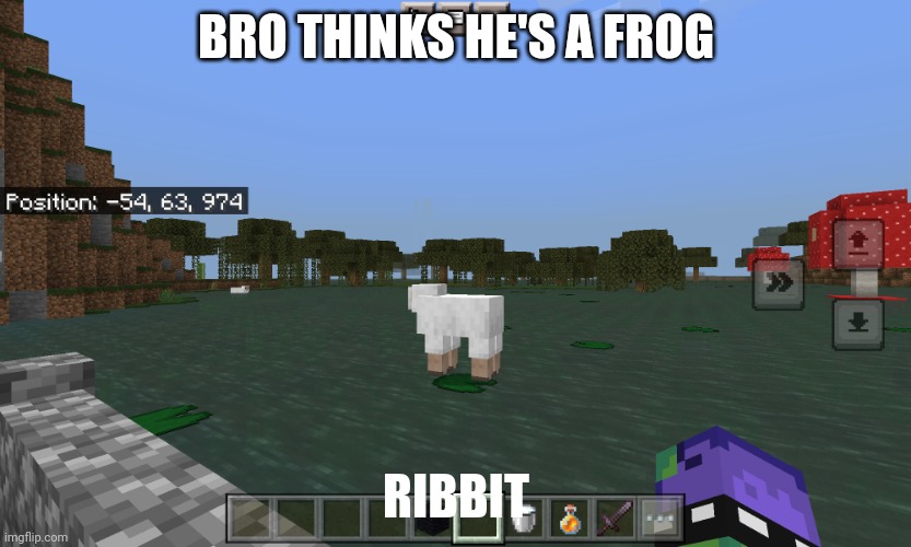 Ribbit | BRO THINKS HE'S A FROG; RIBBIT | image tagged in bro thinks he's a frog | made w/ Imgflip meme maker