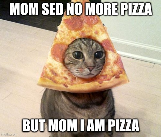 pizza cat | MOM SED NO MORE PIZZA; BUT MOM I AM PIZZA | image tagged in pizza cat | made w/ Imgflip meme maker