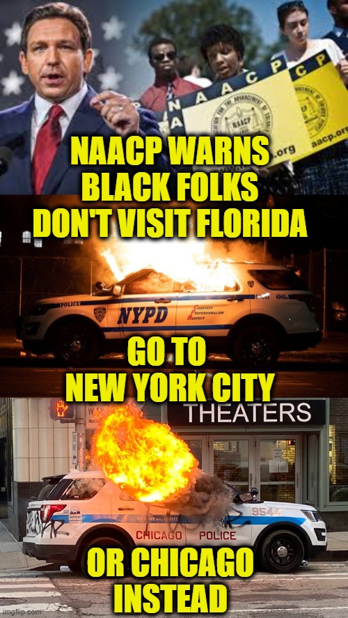 Travel Advisory | NAACP WARNS
BLACK FOLKS
DON'T VISIT FLORIDA; GO TO 
NEW YORK CITY; OR CHICAGO
INSTEAD | image tagged in politics | made w/ Imgflip meme maker