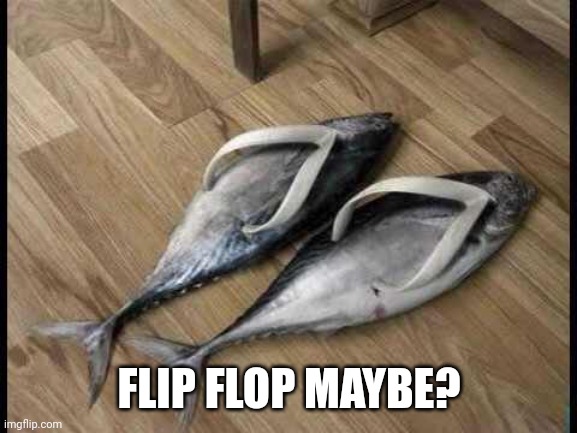 Fish Flops | FLIP FLOP MAYBE? | image tagged in fish flops | made w/ Imgflip meme maker