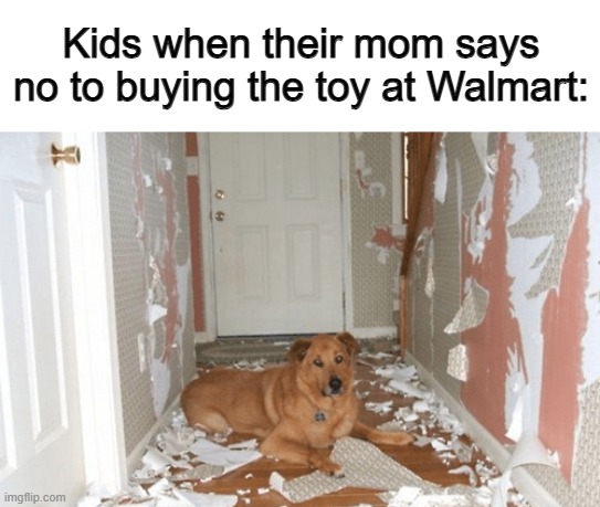 That used to be me all the time :/ | Kids when their mom says no to buying the toy at Walmart: | made w/ Imgflip meme maker
