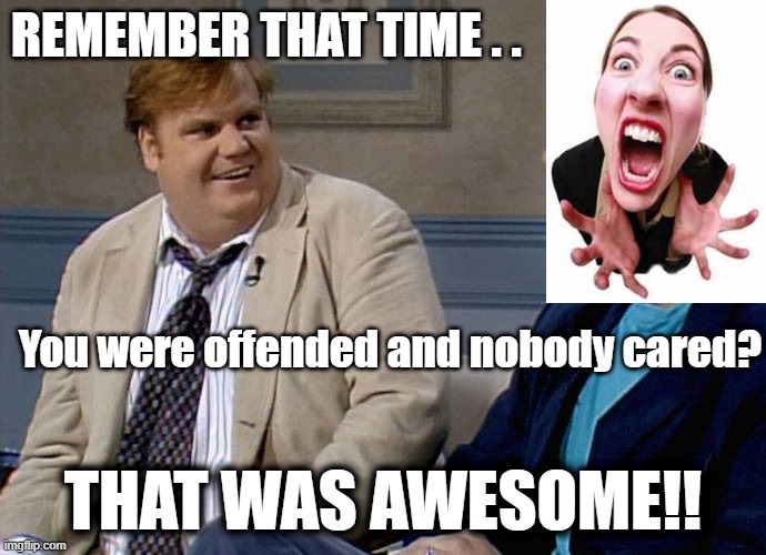 Nobody Cared | REMEMBER THAT TIME . . You were offended and nobody cared? THAT WAS AWESOME!! | image tagged in remember that time,chris farley,offended,stupid liberals,women | made w/ Imgflip meme maker