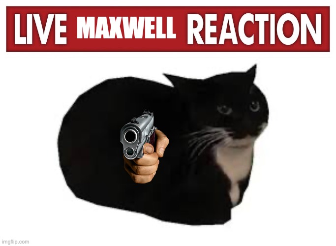 Maxwell had enough | MAXWELL | image tagged in live x reaction | made w/ Imgflip meme maker