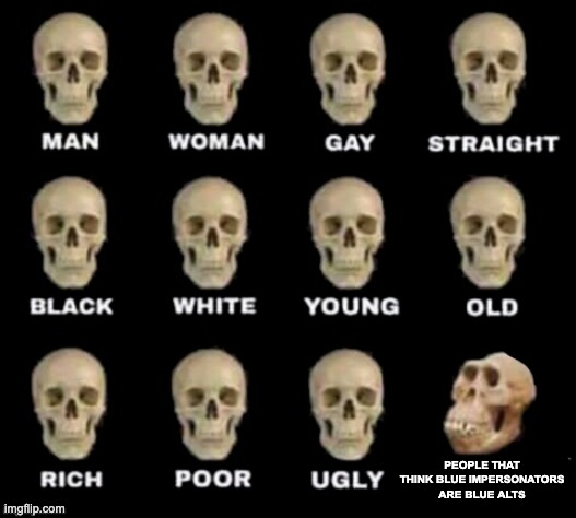 idiot skull | PEOPLE THAT THINK BLUE IMPERSONATORS ARE BLUE ALTS | image tagged in idiot skull | made w/ Imgflip meme maker