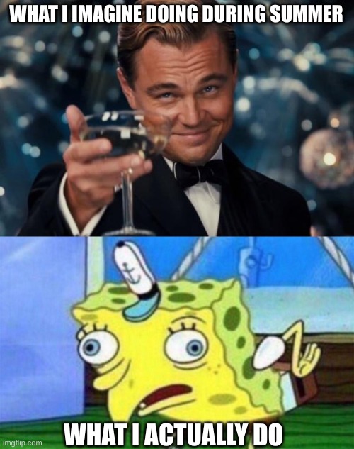 summer | WHAT I IMAGINE DOING DURING SUMMER; WHAT I ACTUALLY DO | image tagged in memes,leonardo dicaprio cheers,spongebob stupid | made w/ Imgflip meme maker
