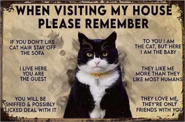 Before Entering - Read The Sign ! | image tagged in cats,sign,visitors | made w/ Imgflip meme maker