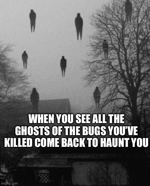 Me and the boys at 3 AM | WHEN YOU SEE ALL THE GHOSTS OF THE BUGS YOU’VE KILLED COME BACK TO HAUNT YOU | image tagged in me and the boys at 3 am | made w/ Imgflip meme maker