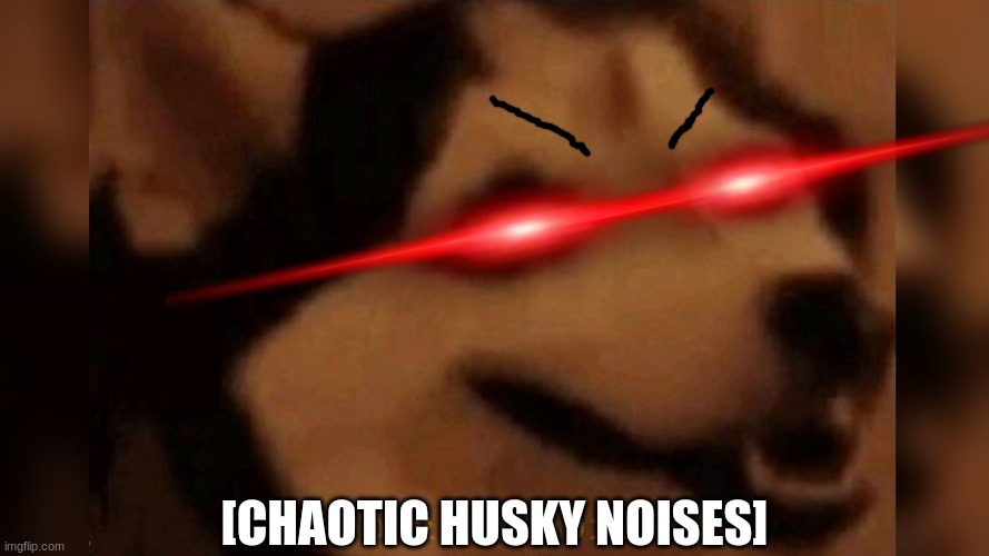 CHAAAAAAAAAAAAOOOOOOOOOOOOOOOOOOS | [CHAOTIC HUSKY NOISES] | image tagged in happiness noise | made w/ Imgflip meme maker