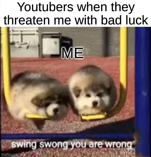 SWING SWONG YOU ARE WRONG | Youtubers when they threaten me with bad luck; ME | image tagged in swing swong you are wrong | made w/ Imgflip meme maker